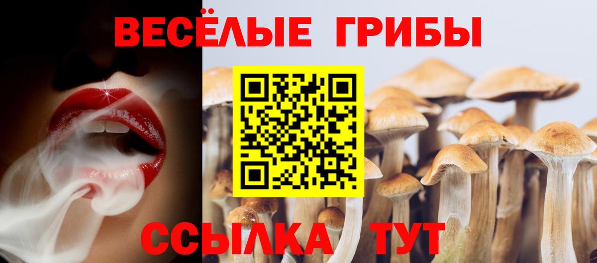 Галлюциногенные грибы мицелий Лыткарино